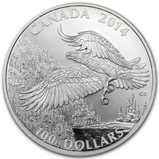 2014 $100 Canada Wildlife In Motion Bald Eagle Attack 1 Oz.  9999 Silver Coin photo