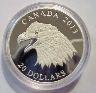 Canada 2013 $20 Bald Eagle 1 Oz Silver Proof Coin Portrait Of Power - No Box photo