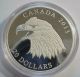 Canada 2013 $20 Bald Eagle 1 Oz Silver Proof Coin Portrait Of Power - No Box Coins: Canada photo 1
