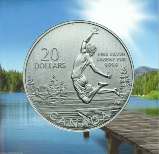 2014 Canada $20 Summertime Coin,  Fine.  9999 Silver Commemorative Coin,  No Tax photo