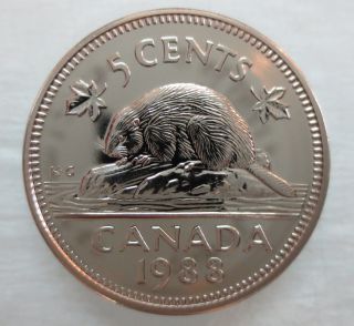 1988 Canada 5 Cents Proof - Like Coin photo