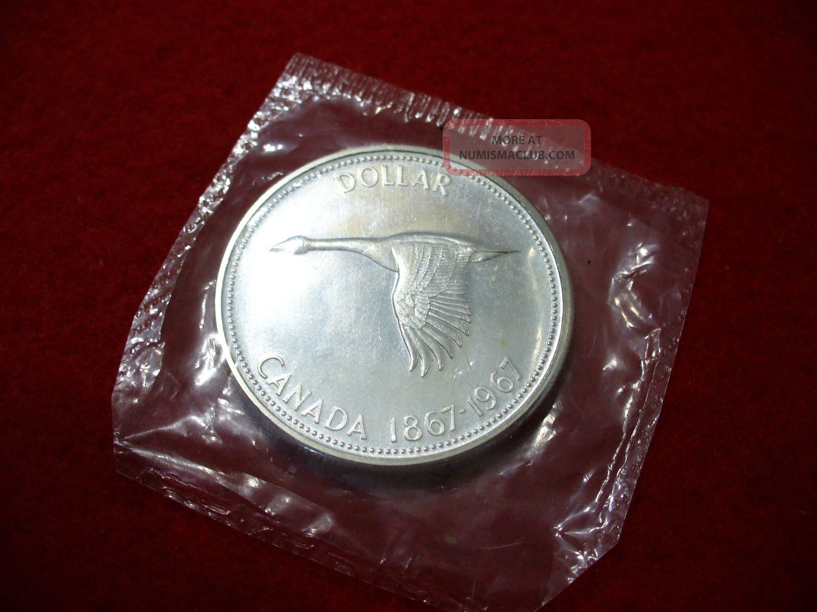 1967 Canada Silver Dollar Coin Top Grade See Photos Prooflike Coins: Canada photo