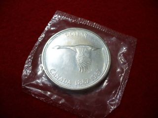 1967 Canada Silver Dollar Coin Top Grade See Photos Prooflike photo