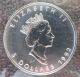 1992 Canada Silver Maple Leaf 1 Troy Oz.  5 Dollar Coin Rcm Key Date Coins: Canada photo 3