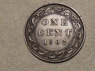 1902 Canadian Large Cent (xf) 7709a photo