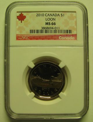 2010 Ngc Ms66 Loon Canada Loonie One Dollar photo