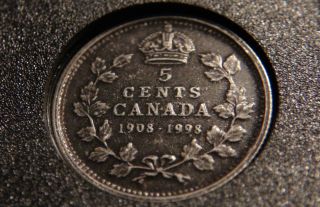 1908 - 1998 Canada Five Cents Coin – Specimen – Antique Finish 5¢ photo