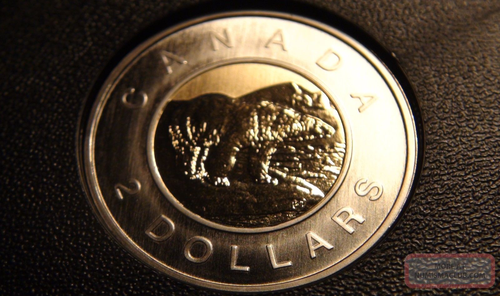 1996 - 2006 Canada Specimen Two Dollars Piece – Uncirculated Canadian Toonie Coins: Canada photo