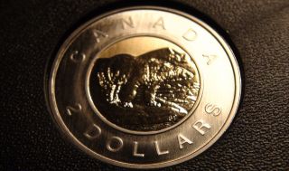 1996 - 2006 Canada Specimen Two Dollars Piece – Uncirculated Canadian Toonie photo