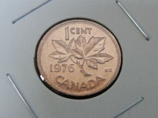 1976 Specimen Red Canadian Canada Maple Leaf Elizabeth Ii Penny One 1 Cent photo