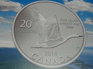 2014 Canada $20 Fine 99.  99 Silver Canadian Goose Commemorative Coin photo