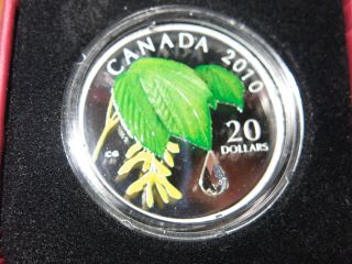 Canada 2010 $20 Maple Leaf Crystal Raindrop Swarovski W/few Light Spots On Edge photo