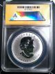 2014 Canada Silver Maple Leaf W/chicago Ana Privy Mark In Anacs Pr69 Dcam Holder Coins: Canada photo 2