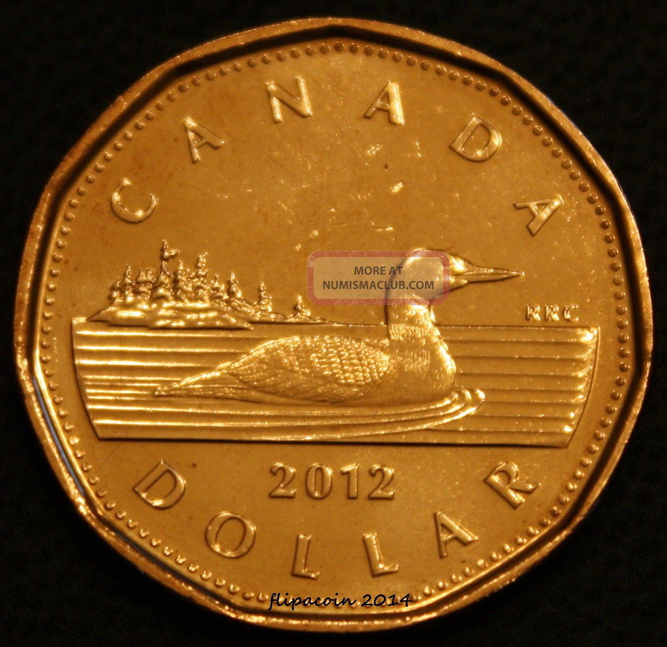 2012 Canadian Loonie - One Dollar Coin B/u Old Style 6142 Coins: Canada photo