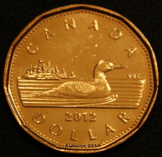 2012 Canadian Loonie - One Dollar Coin B/u Old Style 6142 photo