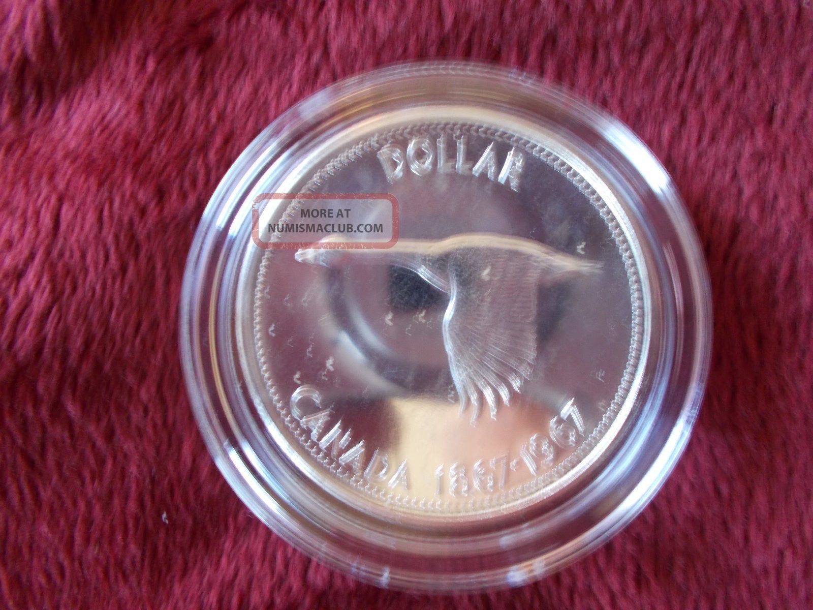 Canadian Silver Dollar 1967 Goose - Proof Coins: Canada photo