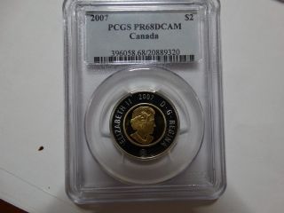 2007 Canada $2 Gold Gilt/silver Polar Bear Coin - Pcgs Pr68dcam photo