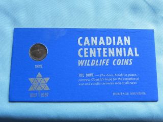 1967 Canadian Centennial Wildlife Coin - The Dove - Penny In Souvenir Holder photo