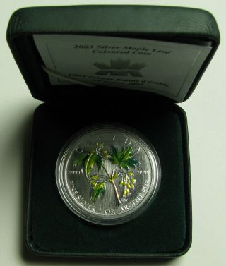 2003 $5 1oz.  9999 Silver Maple Leaf Sml Summer Coloured Canada photo