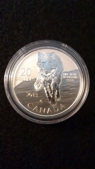 2013 Canadian Silver $20 Dollar Coin Limited Mintage 99.  99 Pure /coa photo