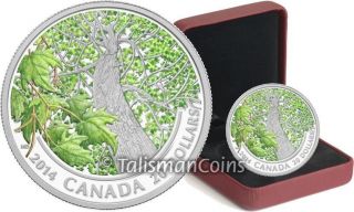 Canada 2014 $20 Pure Silver Maple Leaf Canopy Spring Flora Color Proof Sml photo