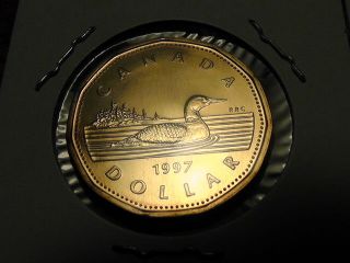 1997 And 1998 Canada One Dollar Loonie photo
