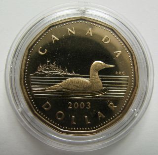 2003 Proof $1 Loon Canada Loonie One Dollar Coin Only photo