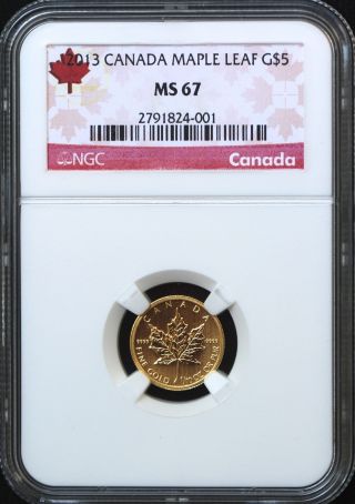 2013 Canada Ngc Ms67 $5 1/10 Oz Gold Maple Leaf - Great Coin With Country Label photo