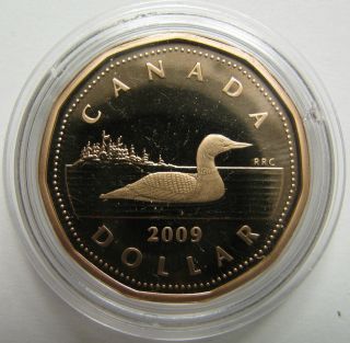 2009 Proof $1 Loon Canada Loonie One Dollar Coin Only photo