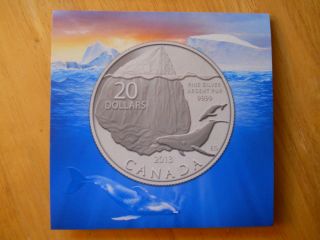 2013 $20 For $20 Iceberg And Whale With 99.  99 Pure Silver No Tax photo
