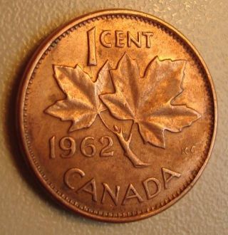 1962 Canada Small One Cent Harp Error Circulated Coin - Zoell K86c Our 49 photo