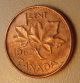 1962 Canada Small One Cent Harp Error Circulated Coin - Zoell K86c Our 49 Coins: Canada photo 3