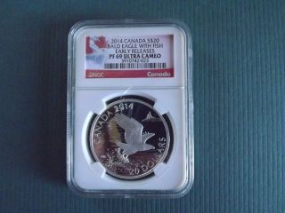 2014 Canada S$20 Bald Eagle With Fish Silver Proof - Ngc Pf69 Ucam Er - Low Pop photo