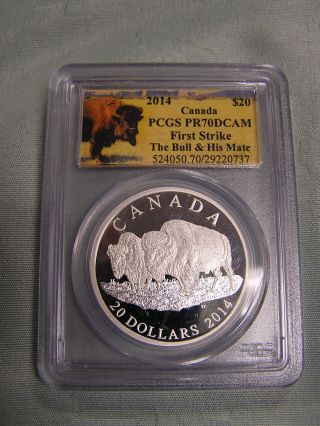 2014 Canada $20 Bison Bull & His Mate.  Pcgs Pr70 First Strike. photo