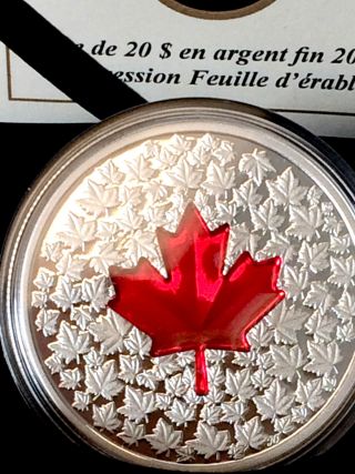 2013 Canada Fine.  9999 Silver 1oz Archived Coin Colored Maple Leaf Uncirculated photo