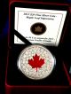 2013 Canada Fine.  9999 Silver 1oz Archived Coin Colored Maple Leaf Uncirculated Coins: Canada photo 5