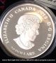 2013 Canada Fine.  9999 Silver 1oz Archived Coin Colored Maple Leaf Uncirculated Coins: Canada photo 6
