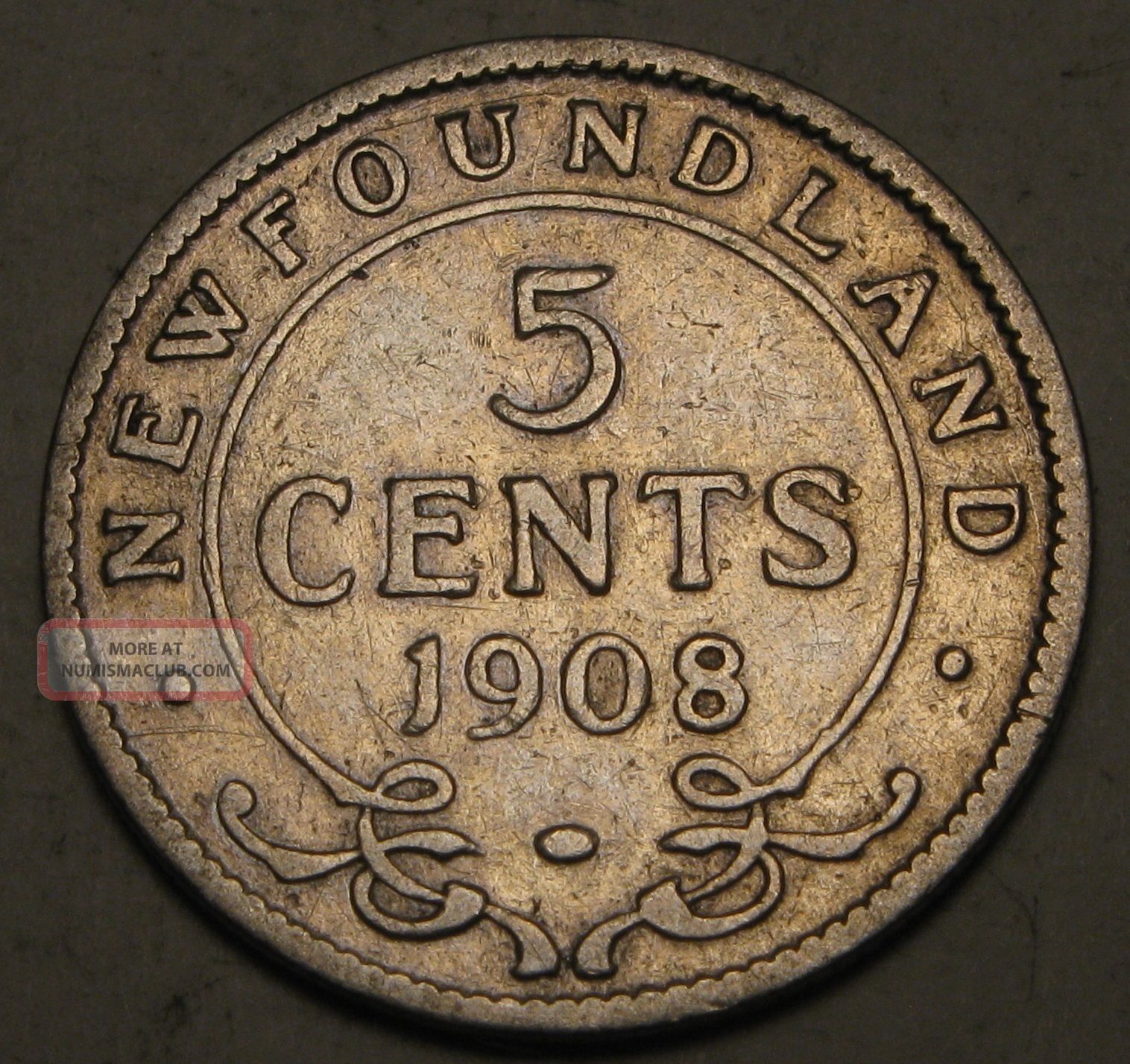 Canada - Foundland 5 Cents 1908 - Silver - Edwardvs Vii.  1502 Coins: Canada photo