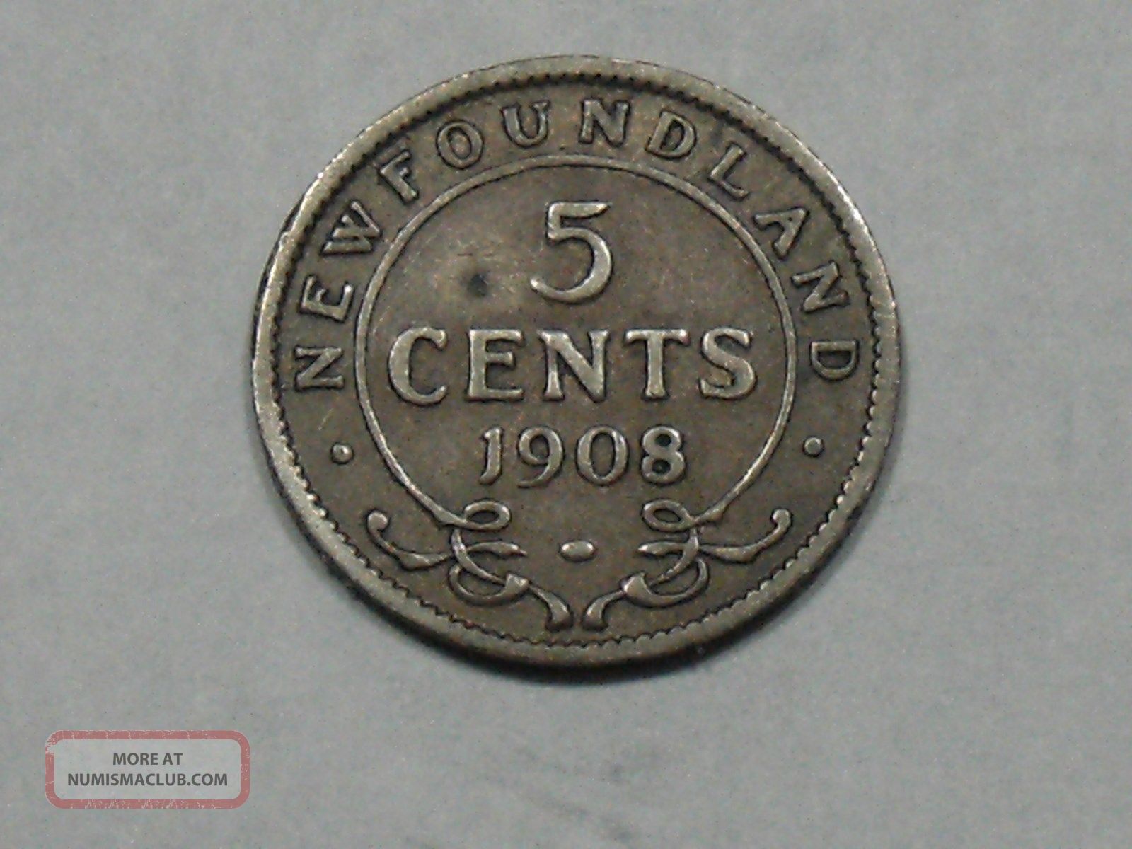 1908 Newfoundland Five Cent Silver Coin 3394b Coins: Canada photo