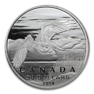 2014 $50 Canada Wildlife Conservation Snowy Owl 1/2 Oz.  9999 Silver Coin photo