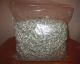 One Pound (1 Lb. ) Bag Of Shredded U.  S.  Currency Money Bills - 16 Ounces Paper Money: US photo 2