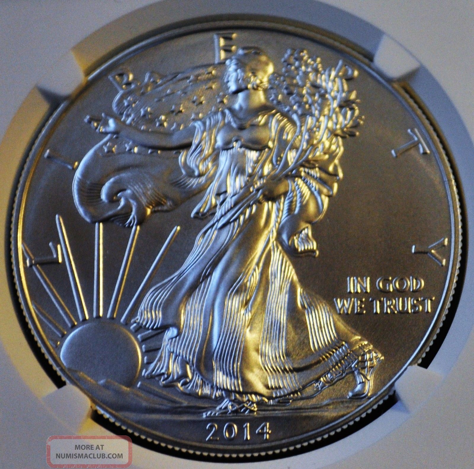 2014, Ms 70, Ngc Graded American Silver Eagle, Perfect Coin, No More