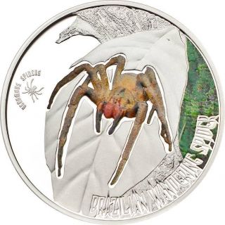 2013 Cook Islands $1 Silver Proof Coin Venomous Spider: Brazilian Wandering photo