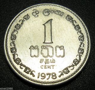 Sri Lanka 1 Cent Coin 1978 Km 137 (a1) Some Luster photo