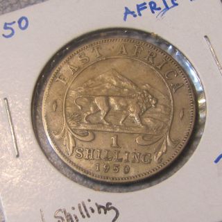 East Africa Shilling 1950 George Vi photo