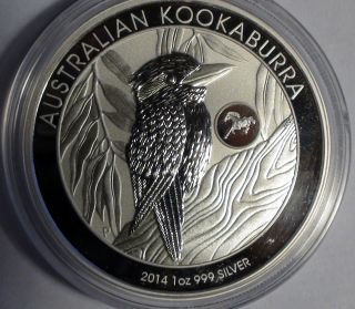 2014 1oz Silver Australian Kookaburra Lunar Horse Privy Coin Mintage Only 50k photo