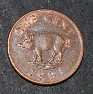 Bermuda (1991) 1 Cent (km 44b) 19 Mm Copper Plated Zinc photo