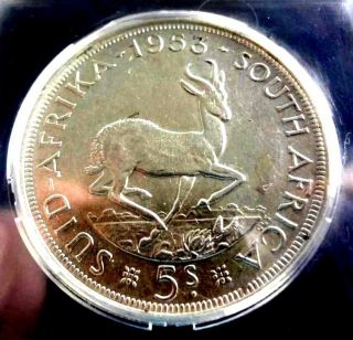 1953 South Africa Union Silver 5 Shilling Crown Sangs Not Ngc Au58 Coin 1 photo