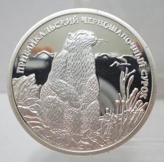 Russia 2008 One Rouble 90 Silver Proof Coin Unc Scarce photo