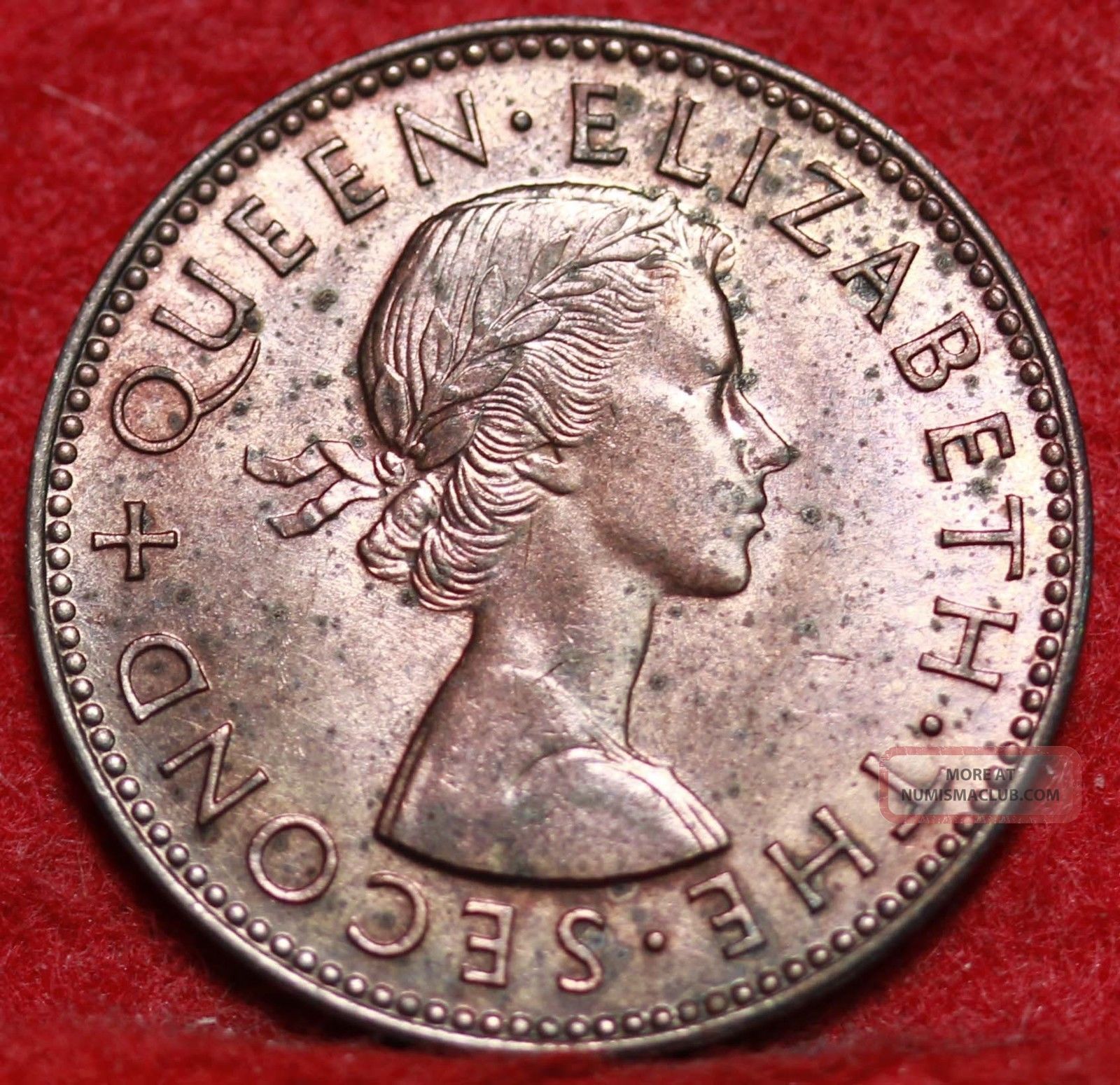 1957 Zealand 1 2 Penny Foreign Coin S h 1957-zealand-1-2-penny-foreign-coin-s-h